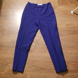 Robert Rodriguez Blue Side Zip Ankle Pants